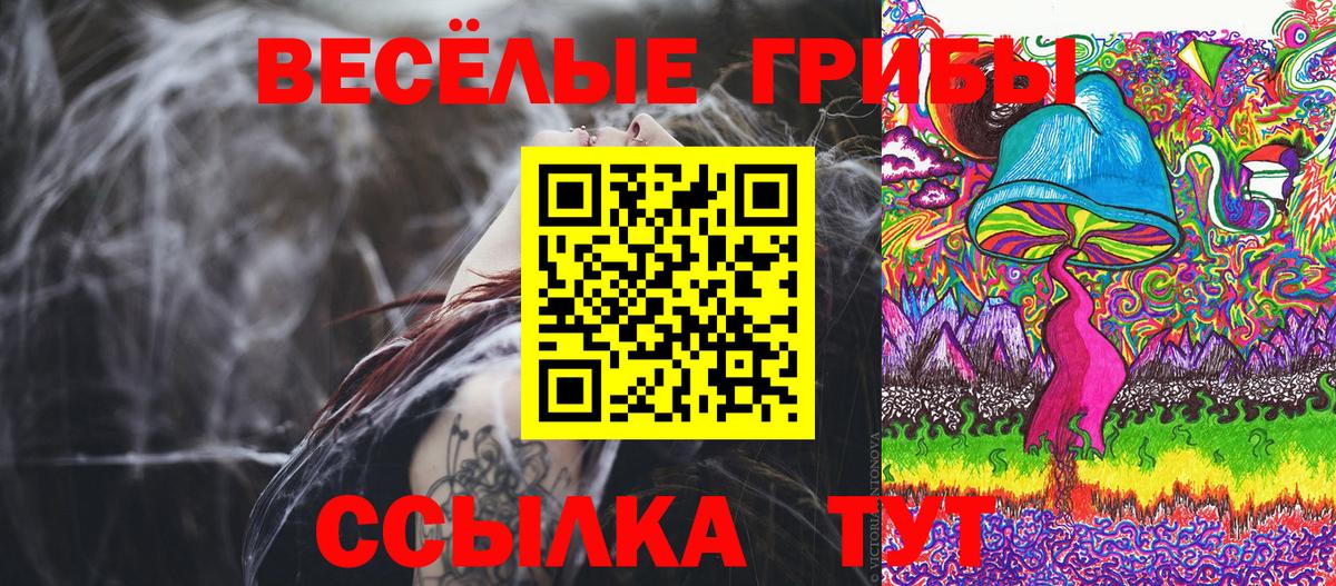 Галлюциногенные грибы MAGIC MUSHROOMS  Вход с VPN  Муром 